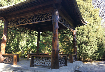 中山公园第 60 张图片