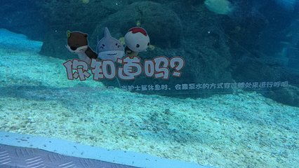 上海长风海洋世界第 79 张图片