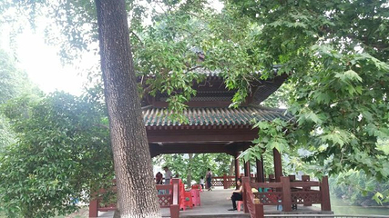 中山公园第 33 张图片