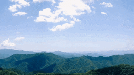 牛背梁国家森林公园第 30 张图片