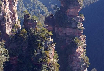 八仙山自然保护区第 15 张图片