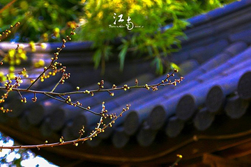 鹳山第 17 张图片