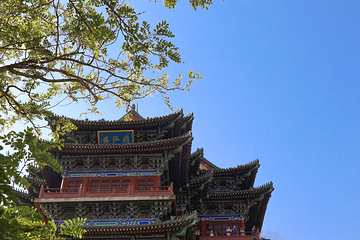 阅江楼第 68 张图片