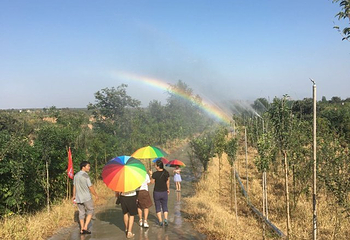 黄河彩虹谷第 7 张图片