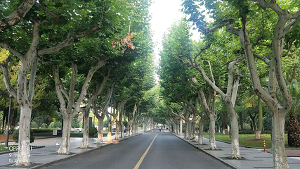 上海师范大学第 14 张图片