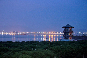 盐洲岛第 10 张图片