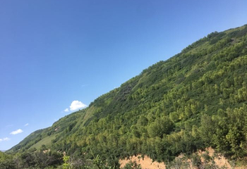 上山庄花海第 8 张图片