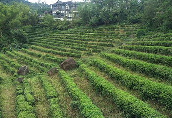 大华兴寺第 10 张图片