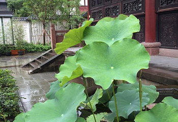 郑东新区湿地公园第 8 张图片