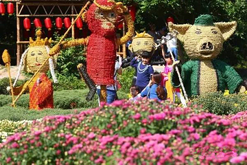 泉州鲜花港第 18 张图片