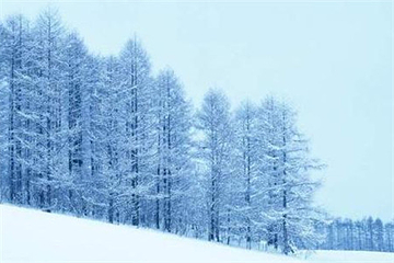 雪岭云杉自然保护区第 2 张图片
