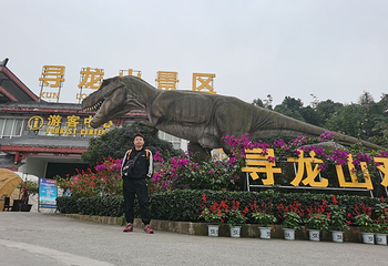 寻龙山景区第 24 张图片