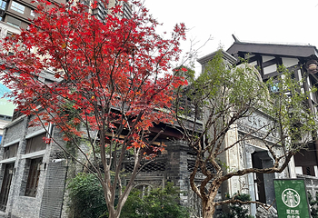 长嘉汇弹子石老街第 40 张图片
