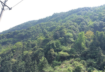 九宫山风景名胜区-石龙峡第 11 张图片