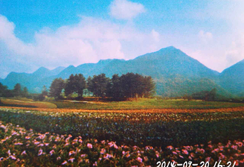 红池坝高山草场第 23 张图片