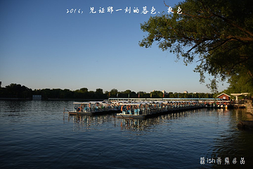 玉渊潭公园第 66 张图片