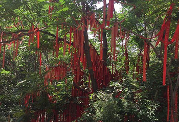 安家沟生态旅游区第 34 张图片