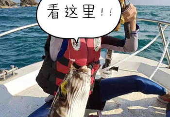 小东海第 93 张图片