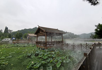 仙水洋第 18 张图片