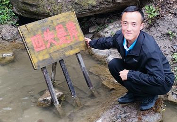 庆阳普罗旺斯薰衣草庄园第 6 张图片