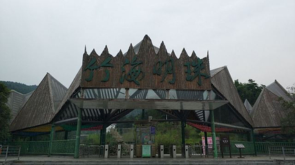 梅岭竹海明珠第 30 张图片