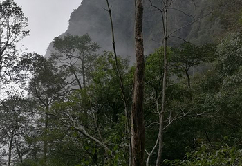 金秀圣堂山景区第 31 张图片