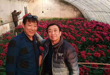 山东安丘青云山民俗游乐园第 23 张图片