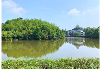 长沙飞鸟乐园第 40 张图片