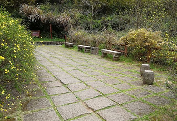 状元岩第 7 张图片