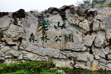 老山国家森林公园第 10 张图片