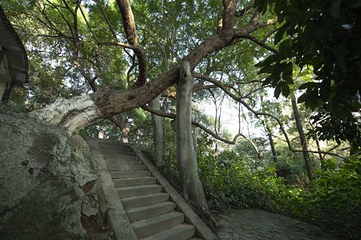 宜宾市翠屏山景区第 27 张图片