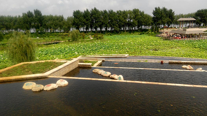 莲花湖国家城市湿地公园第 37 张图片