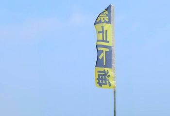 东海岛第 28 张图片