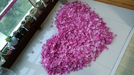 玫瑰小镇生态旅游观光园第 31 张图片