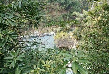 云智慧桂林龙胜温泉酒店第 9 张图片