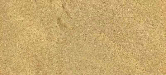 蒙亮民族风情园第 13 张图片