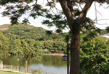 大屏嶂森林公园第 10 张图片