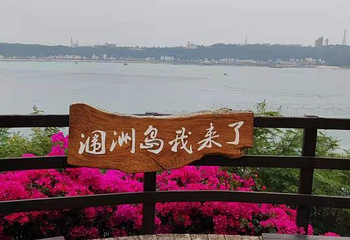 涠洲盛塘天主教堂第 34 张图片