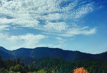 白兆山李白文化旅游区第 29 张图片