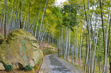 千岛湖景区第 262 张图片