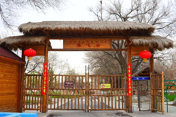 玛纳斯湿地公园第 9 张图片