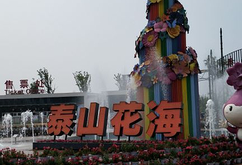 泰山花海第 17 张图片