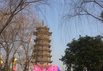 洋湖湿地公园第 36 张图片