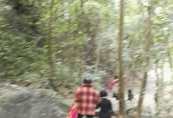 德庆盘龙峡生态旅游区第 49 张图片
