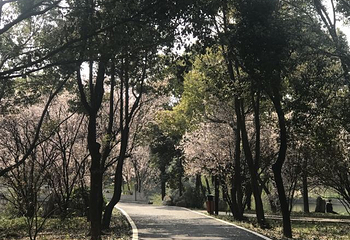 迪沟风景区第 28 张图片