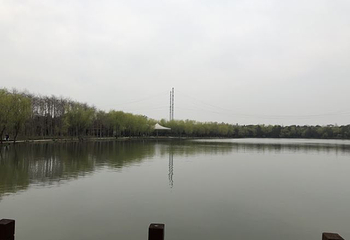 上海雪浪湖生态园第 6 张图片