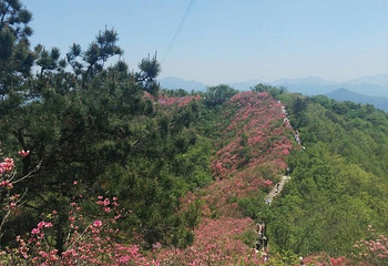 英山县天马寨风景区第 50 张图片