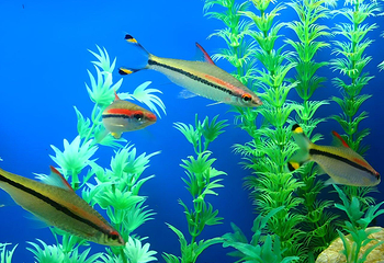 上海海洋水族馆第 2 张图片