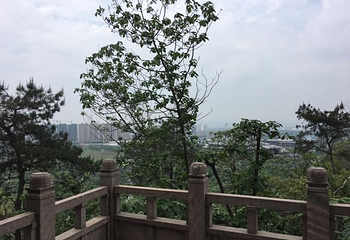 镜湖国家城市湿地公园第 27 张图片