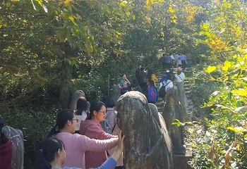 茂林旅游风景区第 8 张图片
